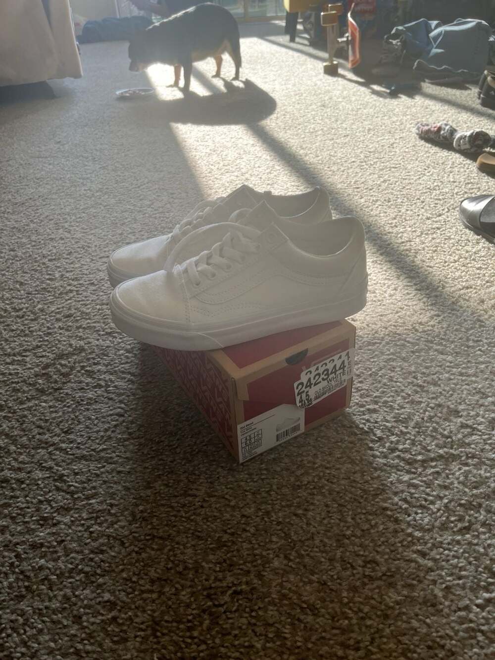Skate Old Skool Shoe in True White